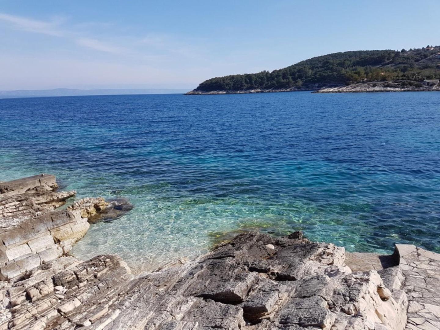 House Villa Bistrana فيلا لوكا المظهر الخارجي الصورة